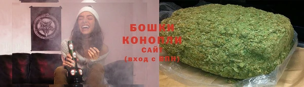 гидропоника Алзамай